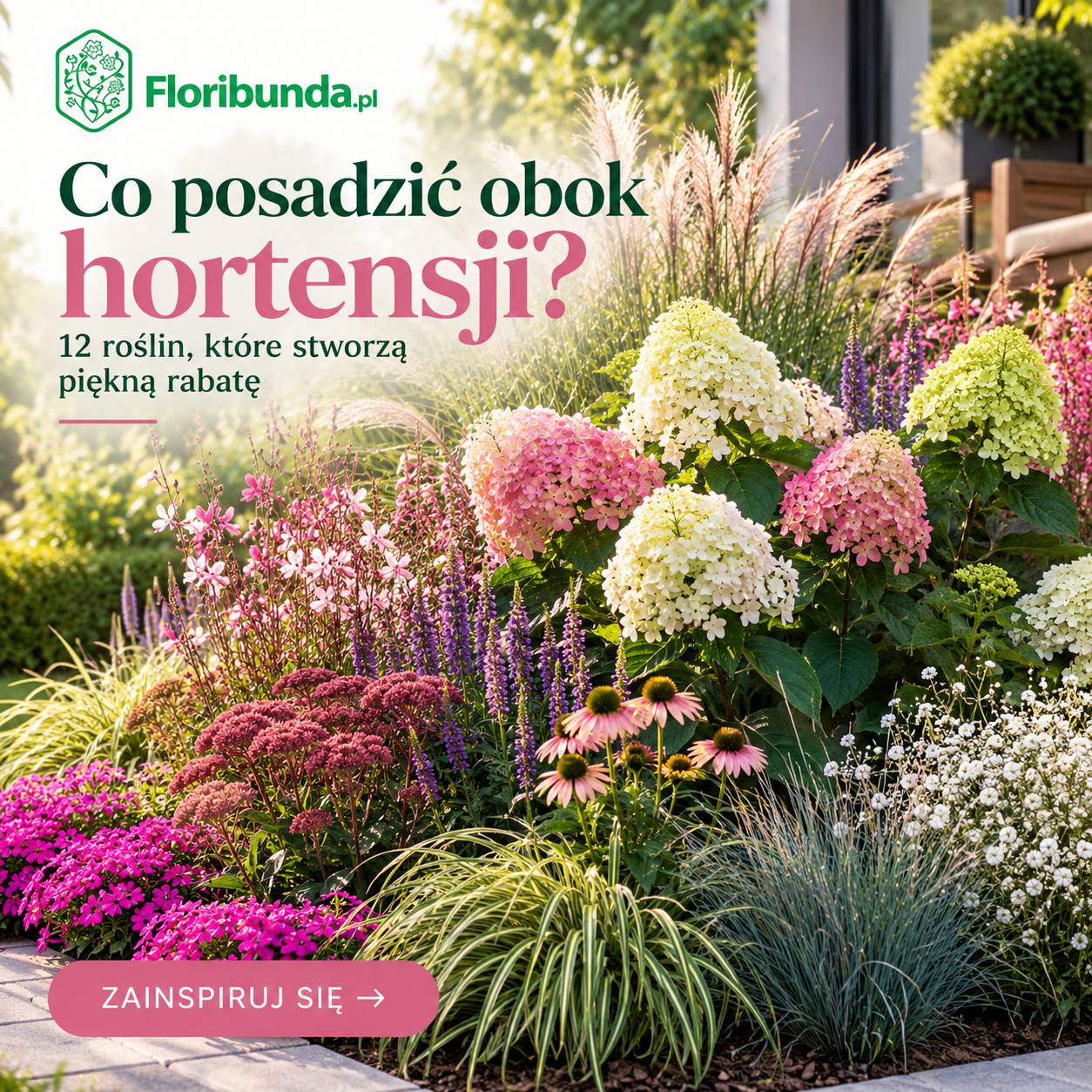 Co posadzić obok hortensji? 12 najlepszych roślin