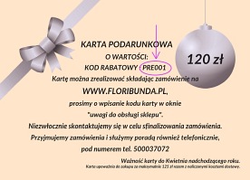 Karta podarunkowa 120 zł